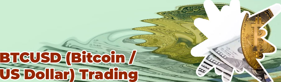 Bitcoin dollar