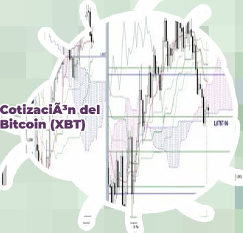 Bitcoins usd