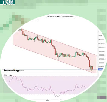 Btc to usd